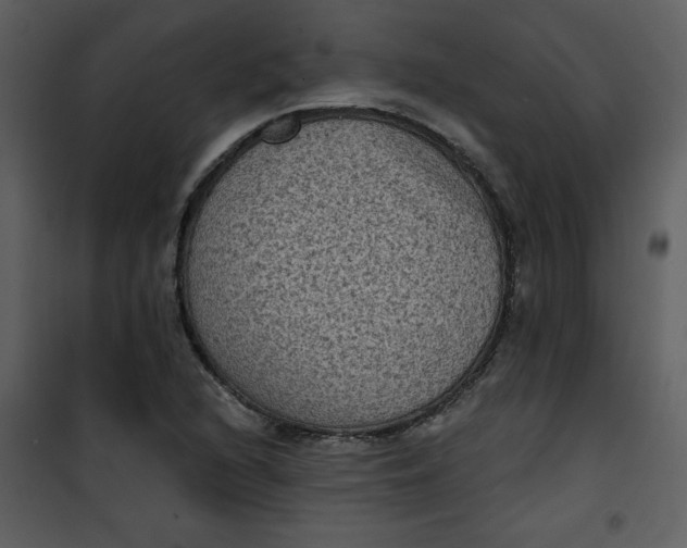 X0000101141216200807181247