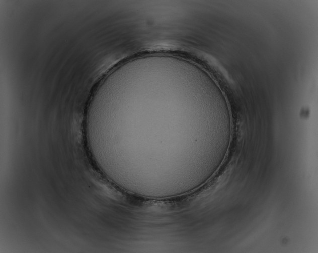 X0000101141217200807181247