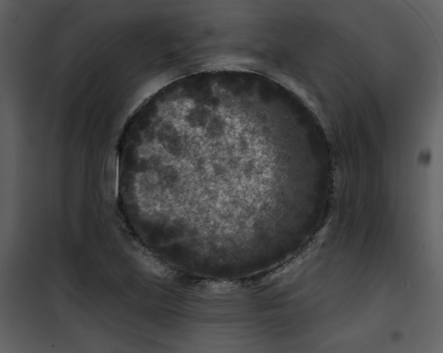 X0000101141219200807181247