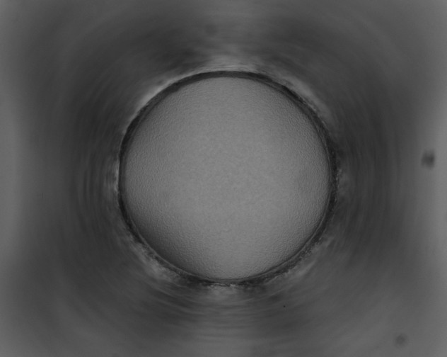 X0000101141220200807181247