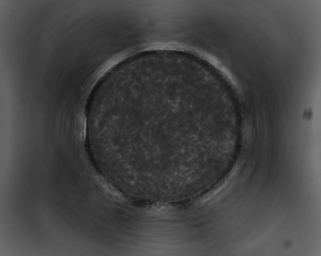 X0000101141221200807181247