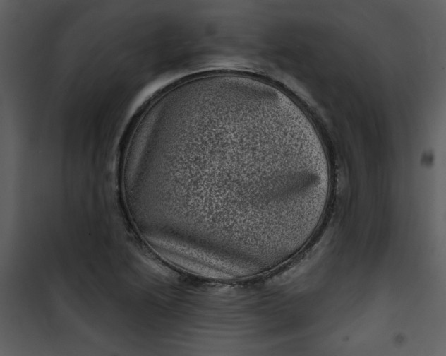 X0000101141222200807181247