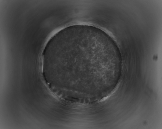 X0000101141223200807181247