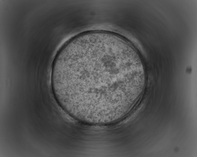 X0000101141224200807181247