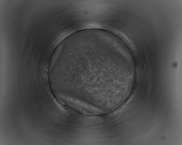 X0000101141225200807181247