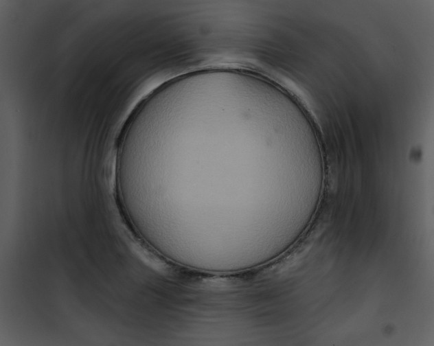 X0000101141227200807181247