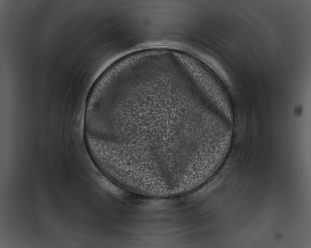 X0000101141228200807181247