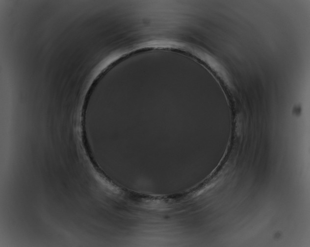 X0000101141229200807181247