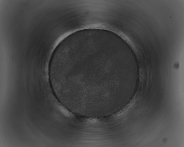 X0000101141230200807181247