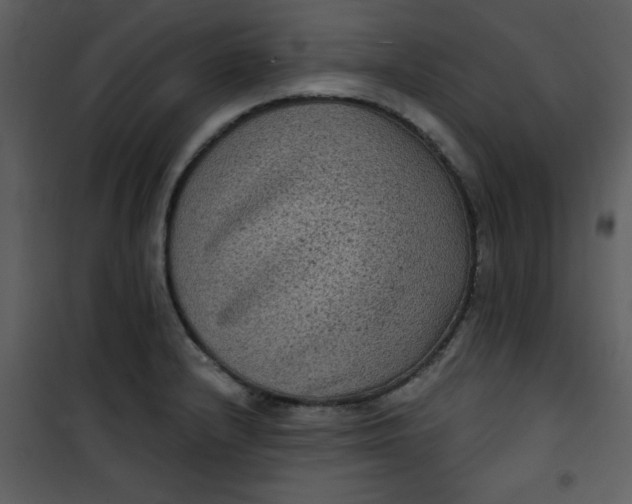 X0000101141232200807181247