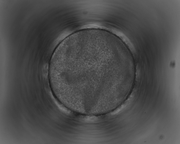 X0000101141233200807181247