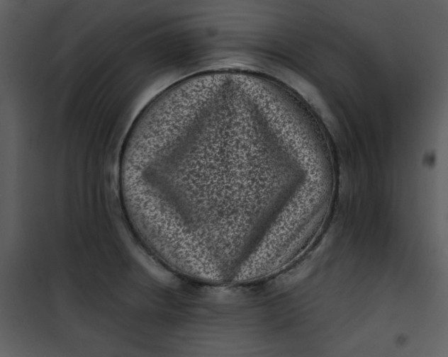 X0000101141234200807181247