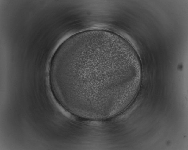 X0000101141235200807181247