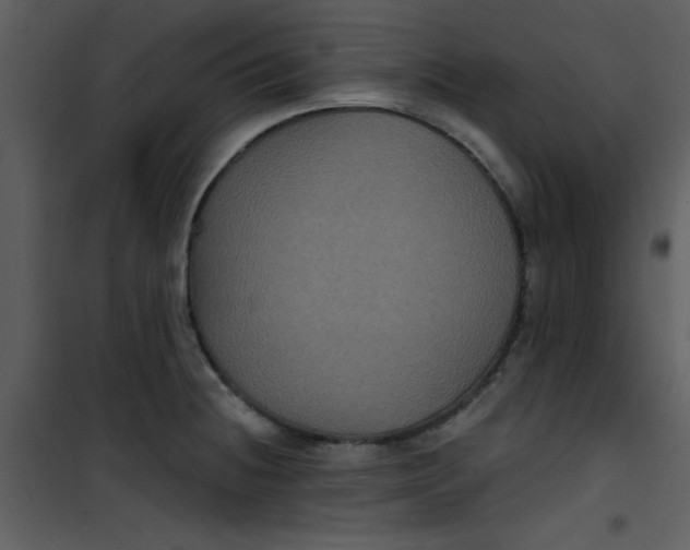 X0000101141236200807181247