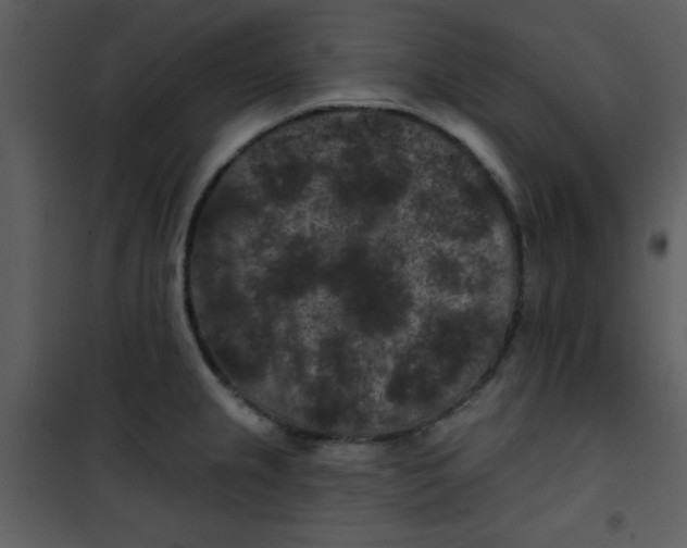 X0000101141237200807181247