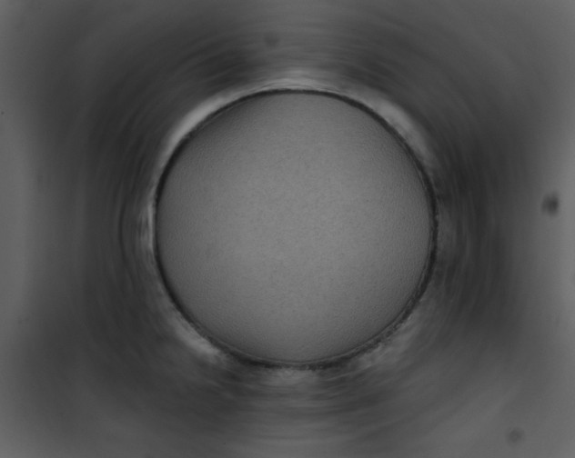 X0000101141238200807181247