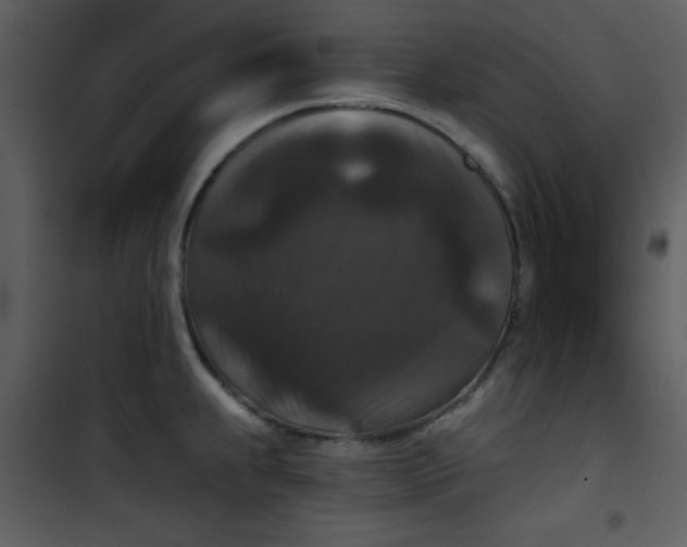 X0000101141239200807181247