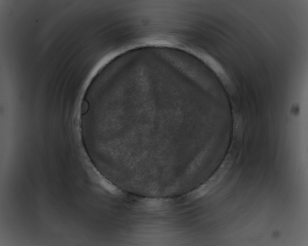 X0000101141240200807181247