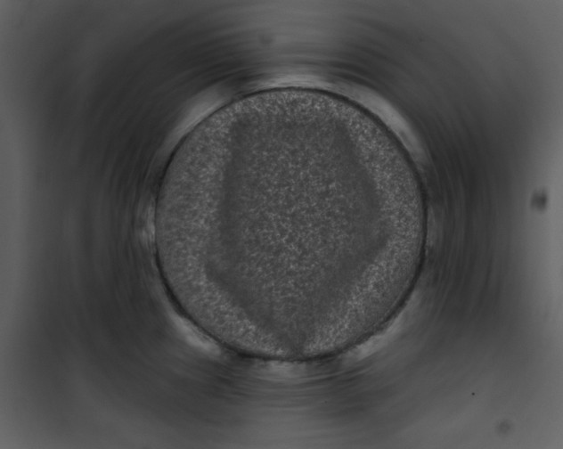 X0000101141241200807181247