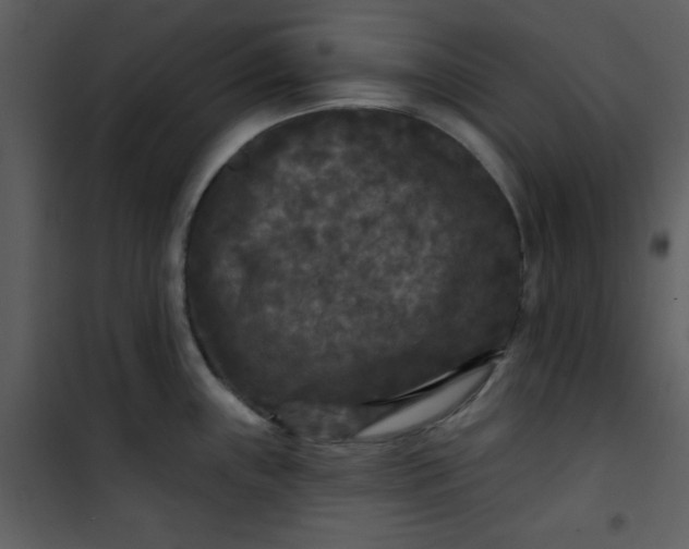 X0000101141243200807181247