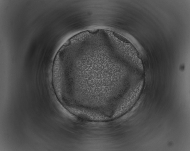 X0000101141244200807181247