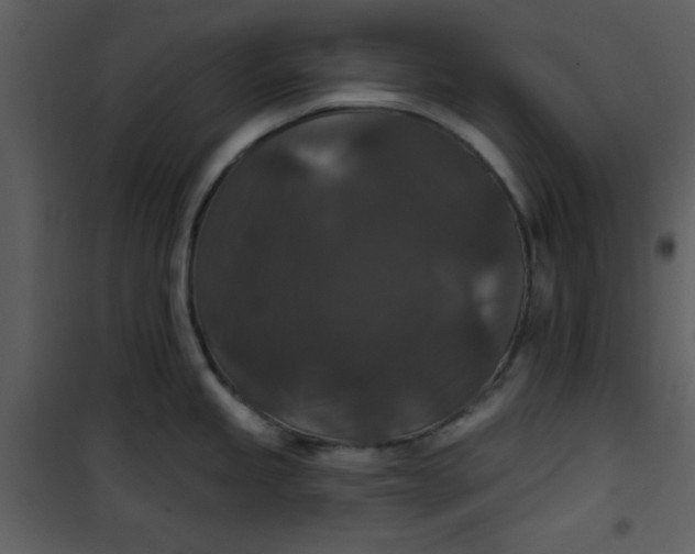 X0000101141245200807181248