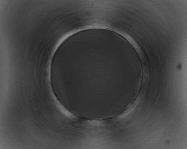 X0000101141246200807181248