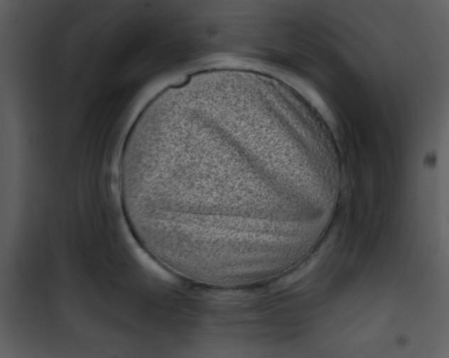 X0000101141247200807181248