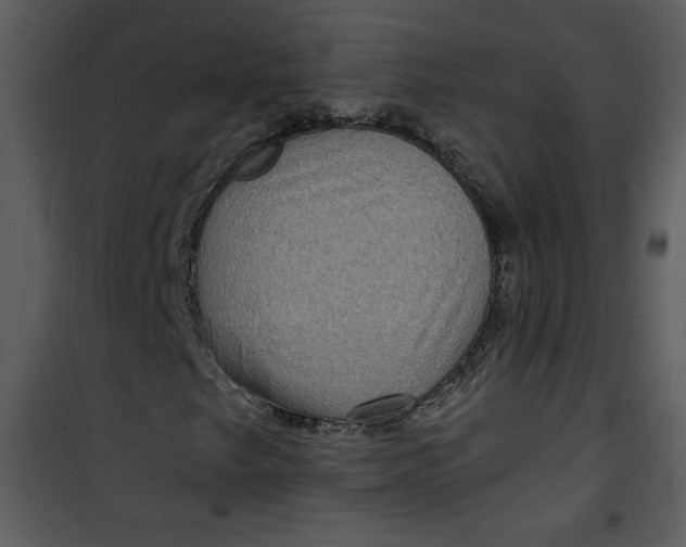 X0000101141249200807181247