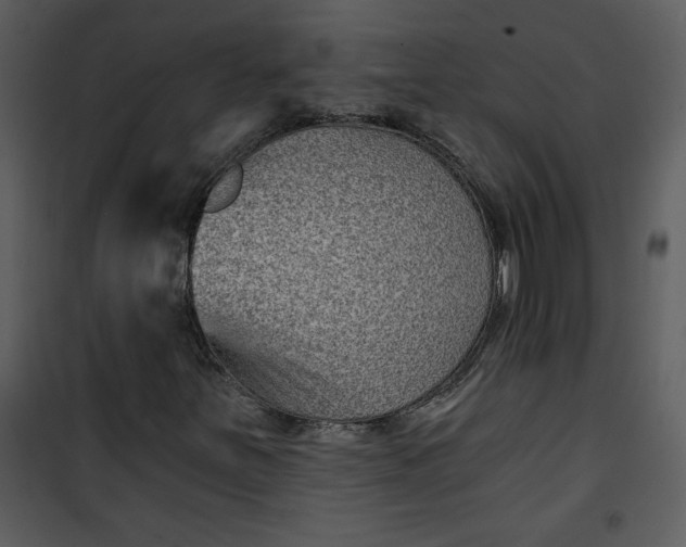 X0000101141251200807181247