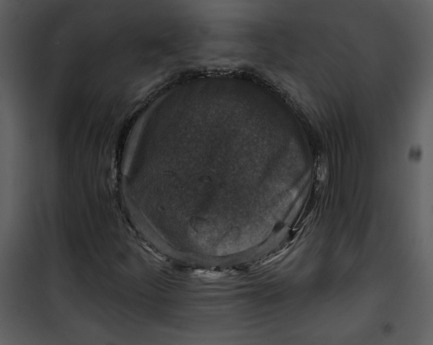 X0000101141252200807181247