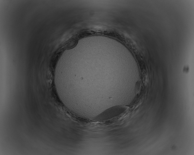 X0000101141253200807181247