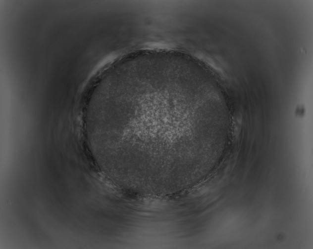 X0000101141254200807181247