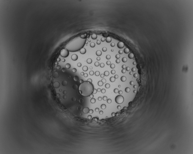 X0000101141255200807181247