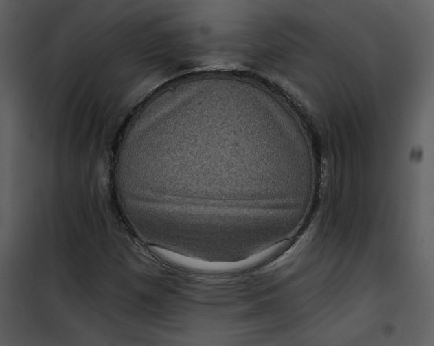 X0000101141257200807181247