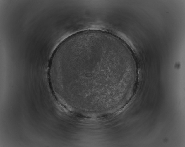 X0000101141260200807181247