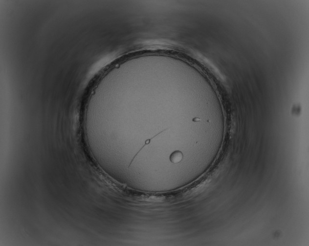 X0000101141261200807181247