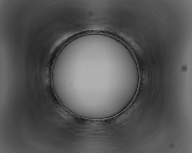 X0000101141262200807181247