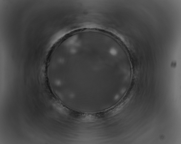 X0000101141263200807181247