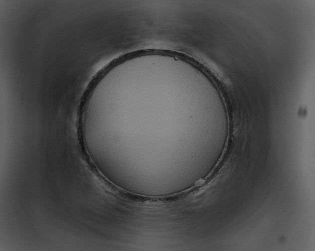 X0000101141264200807181246