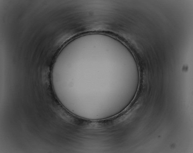 X0000101141265200807181246