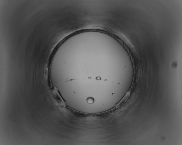 X0000101141268200807181246