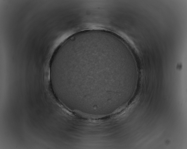 X0000101141269200807181246