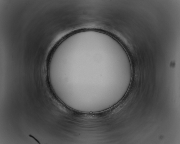 X0000101141270200807181246