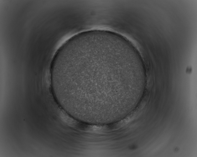 X0000101141271200807181246