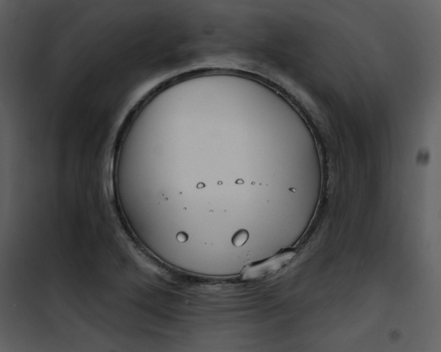 X0000101141272200807181246