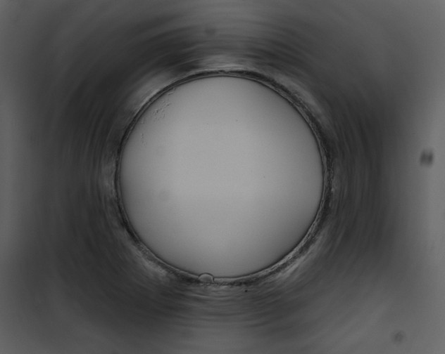 X0000101141273200807181246