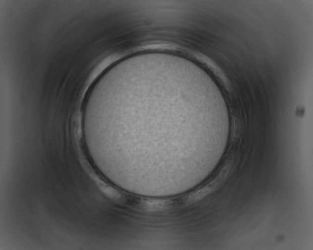 X0000101141274200807181246