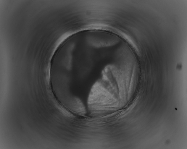 X0000101141275200807181246