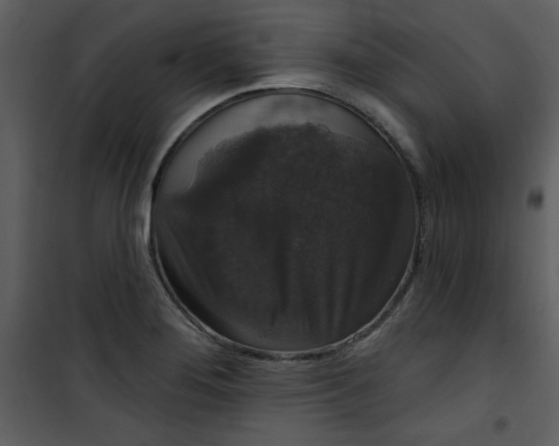 X0000101141276200807181246